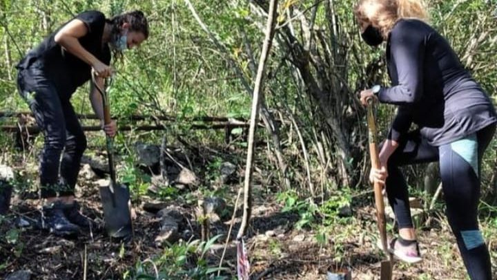 Se dictarán nuevos talleres en la Escuela Municipal de Agroecología Urbana  