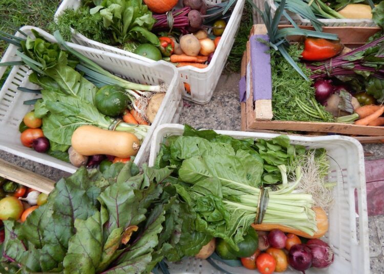 San Antonio ofrece su bolsón agroecológico para sus vecinos San Antonio ofrece su bolsón agroecológico para sus vecinos