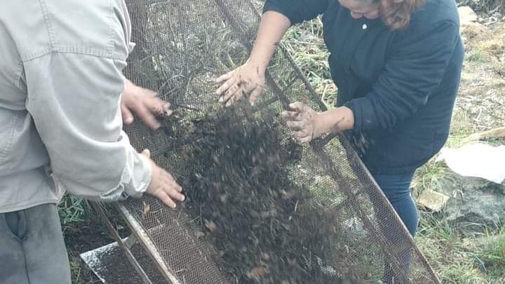 San Antonio realizó su primera cosecha de compost