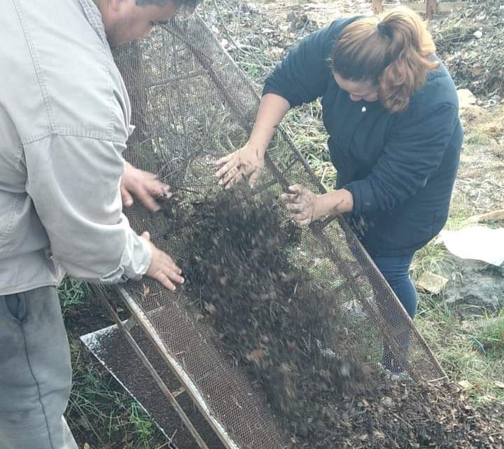 San Antonio realizó su primera cosecha de compost San Antonio realizó su primera cosecha de compost