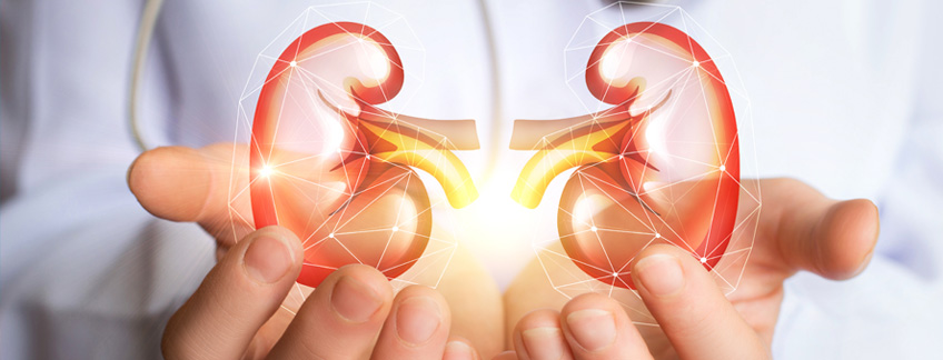 Campaña de prevención renal para vecinos y turistas Campaña de prevención renal para vecinos y turistas