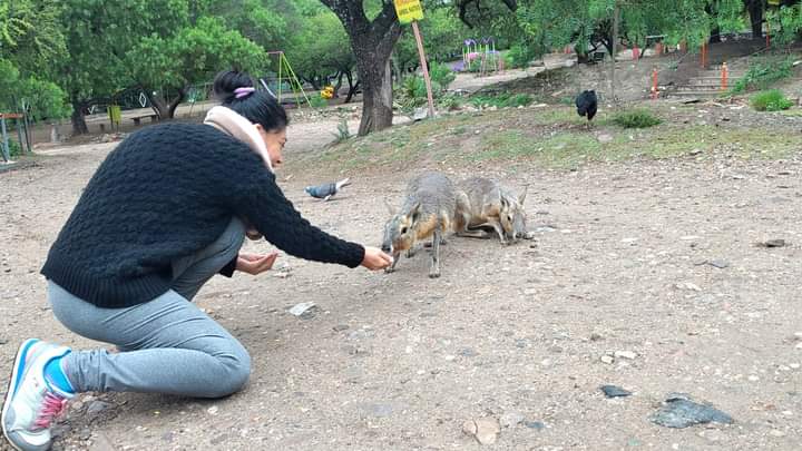 El grupo de jóvenes “Estrellas de San Antonio” visitó el Zoológico Tatú Carreta  