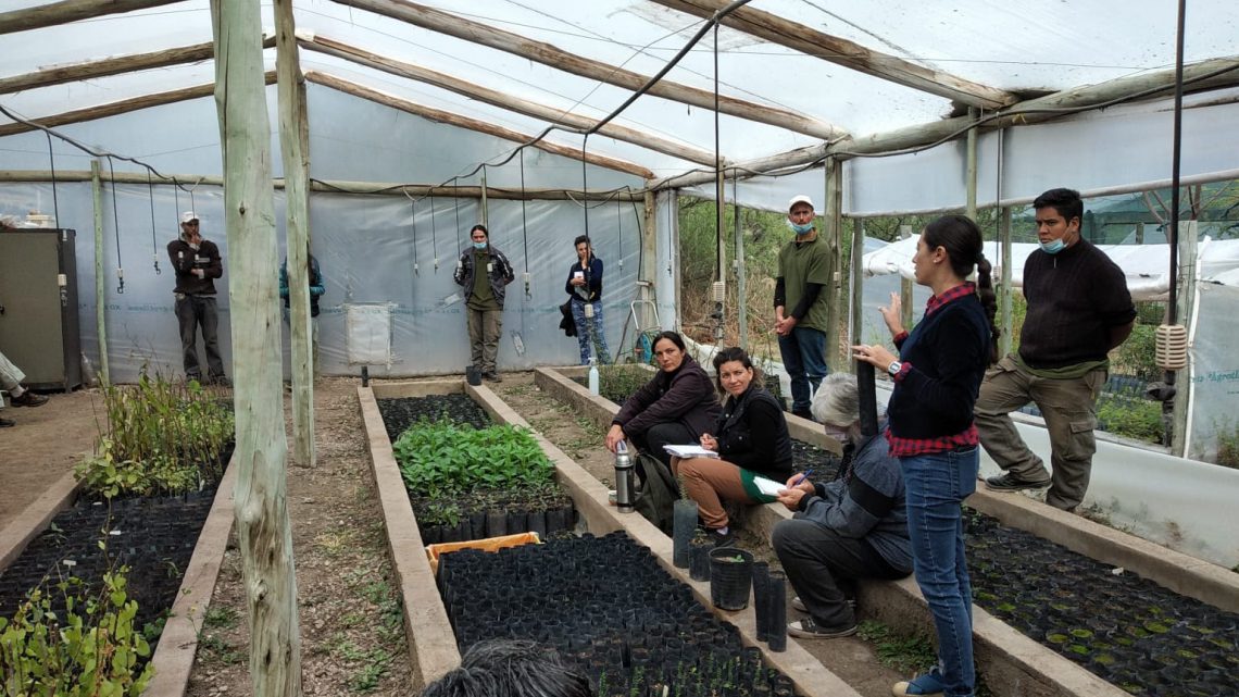 Jornada de capacitación en el vivero del CEPROCOR Jornada de capacitación en el vivero del CEPROCOR