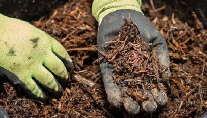 Continúan los ciclos de talleres ambientales y producción agroecológica en San Antonio Continúan los ciclos de talleres ambientales y producción agroecológica en San Antonio