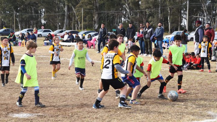 Nueva fecha de las Escuelas Municipales de Fútbol