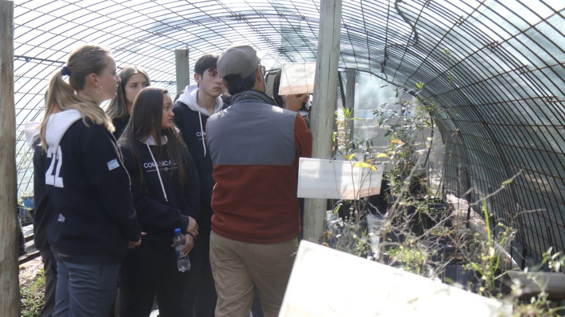 Establecimientos educativos continúan recorriendo el aula ambiental Establecimientos educativos continúan recorriendo el aula ambiental