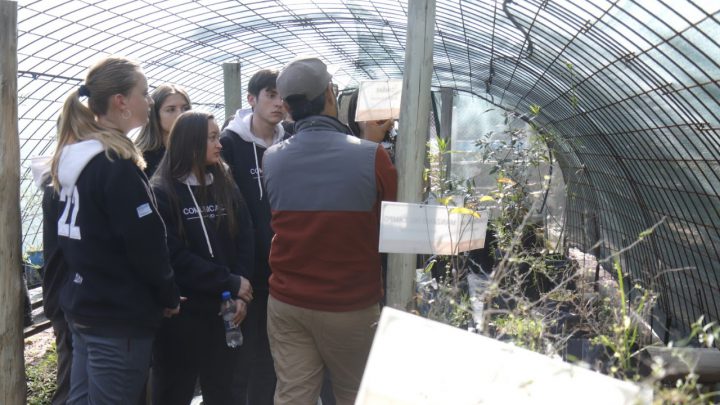 Establecimientos educativos continúan recorriendo el aula ambiental