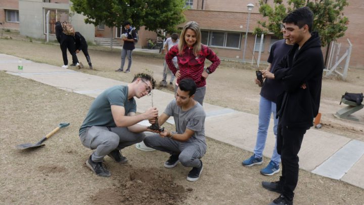 Nueva jornada de ecocanje y forestación de especies nativas en barrio Sol y Lago