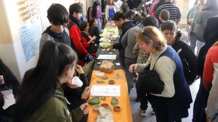 Nueva edición de la “Expo Colinas” en el IPEM 316