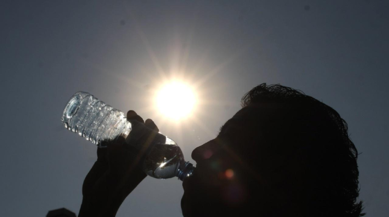 ¿Cómo evitar los golpes de calor?