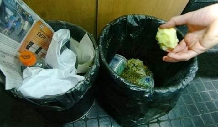 ¿Cómo separar los residuos sólidos urbanos?