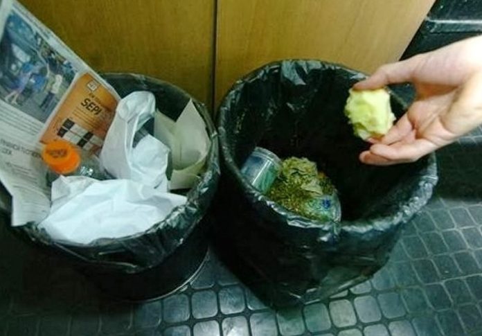 ¿Cómo separar los residuos sólidos urbanos? ¿Cómo separar los residuos sólidos urbanos?