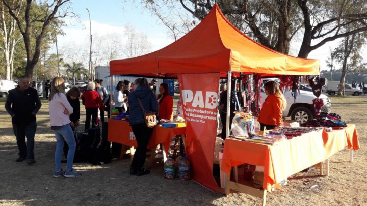 Las protectoras de animales de Carlos Paz recibieron donaciones de de alimentos