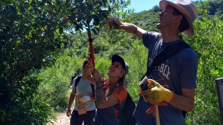 Nueva jornada de colecta de semillas nativas en el Cerro de la Cruz