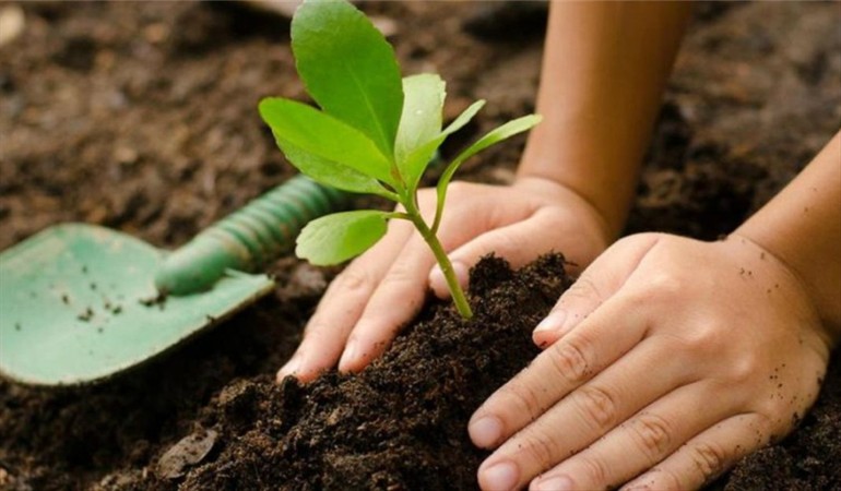 Icho Cruz inicia su campaña “Un árbol para mi vereda” Icho Cruz inicia su campaña “Un árbol para mi vereda”