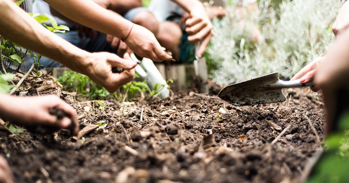 Charla de huerta y jornada de ecocanje en el Distrito Sur