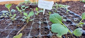 Nuevo taller de Huerta en el Polideportivo Distrito Oeste