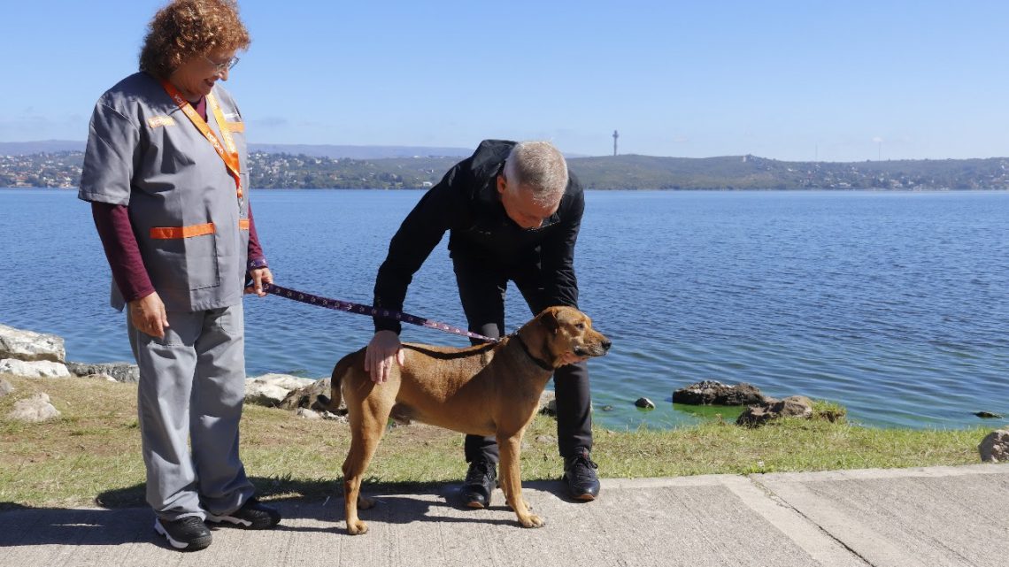 “Familia con Huellas” un nuevo programa para proteger los animales de Villa Carlos Paz “Familia con Huellas” un nuevo programa para proteger los animales de Villa Carlos Paz