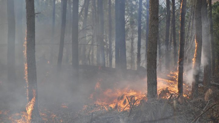 La Provincia declaró el estado de alerta ambiental por riesgo de incendios