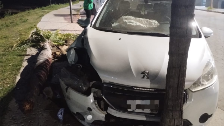 Se durmió y chocó contra una palmera en la costanera de Carlos Paz