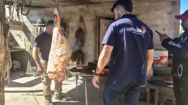 Decomisaron carne tras operativo por faena ilegal en Malagueño