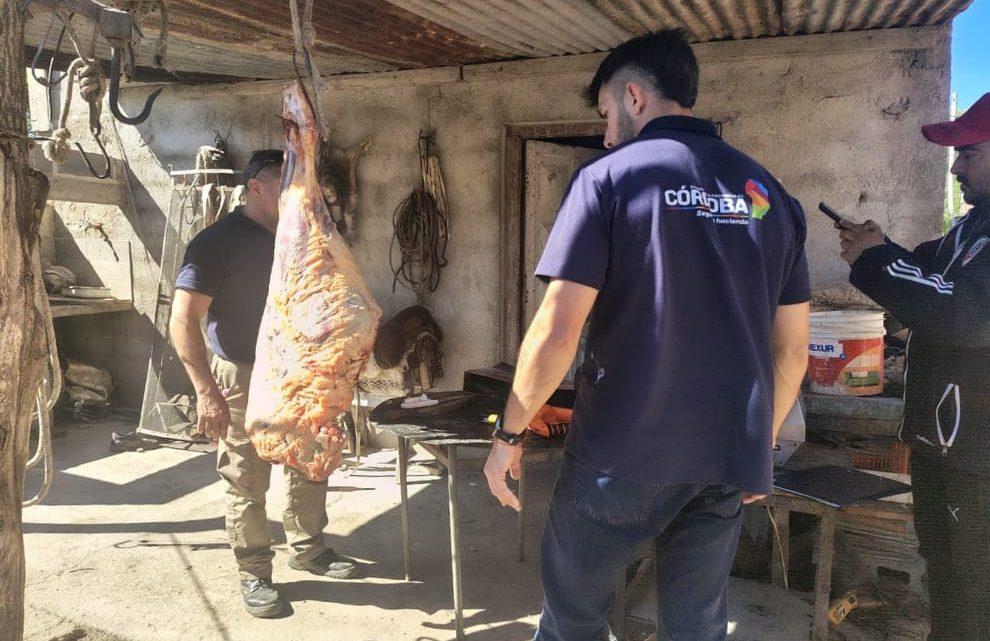 Decomisaron carne tras operativo por faena ilegal en Malagueño Decomisaron carne tras operativo por faena ilegal en Malagueño