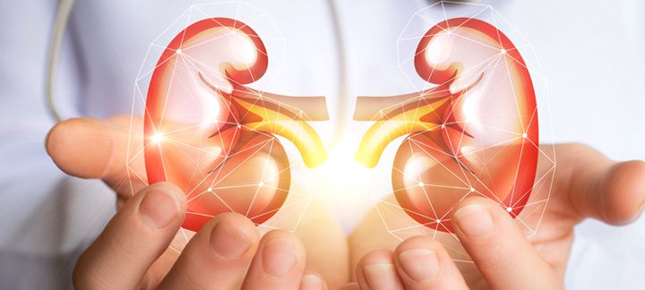 Campaña de prevención renal para vecinos y turistas